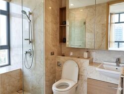 Soleil @ Sinaran (D11), Condominium #605880691
